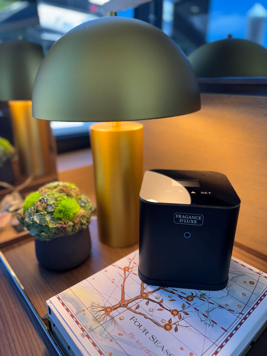 D’Luxe Block Diffuser