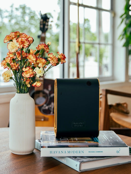 D' Luxe Elegance Black Diffuser
