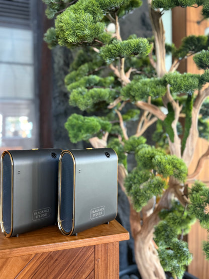 D' Luxe Elegance Black Diffuser